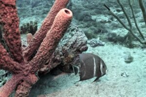 120614875 3478028335588540 1262019656776494596 n