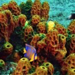 120703564 3478027418921965 5023060959668334611 n