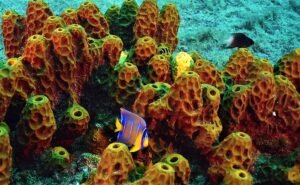 120703564 3478027418921965 5023060959668334611 n