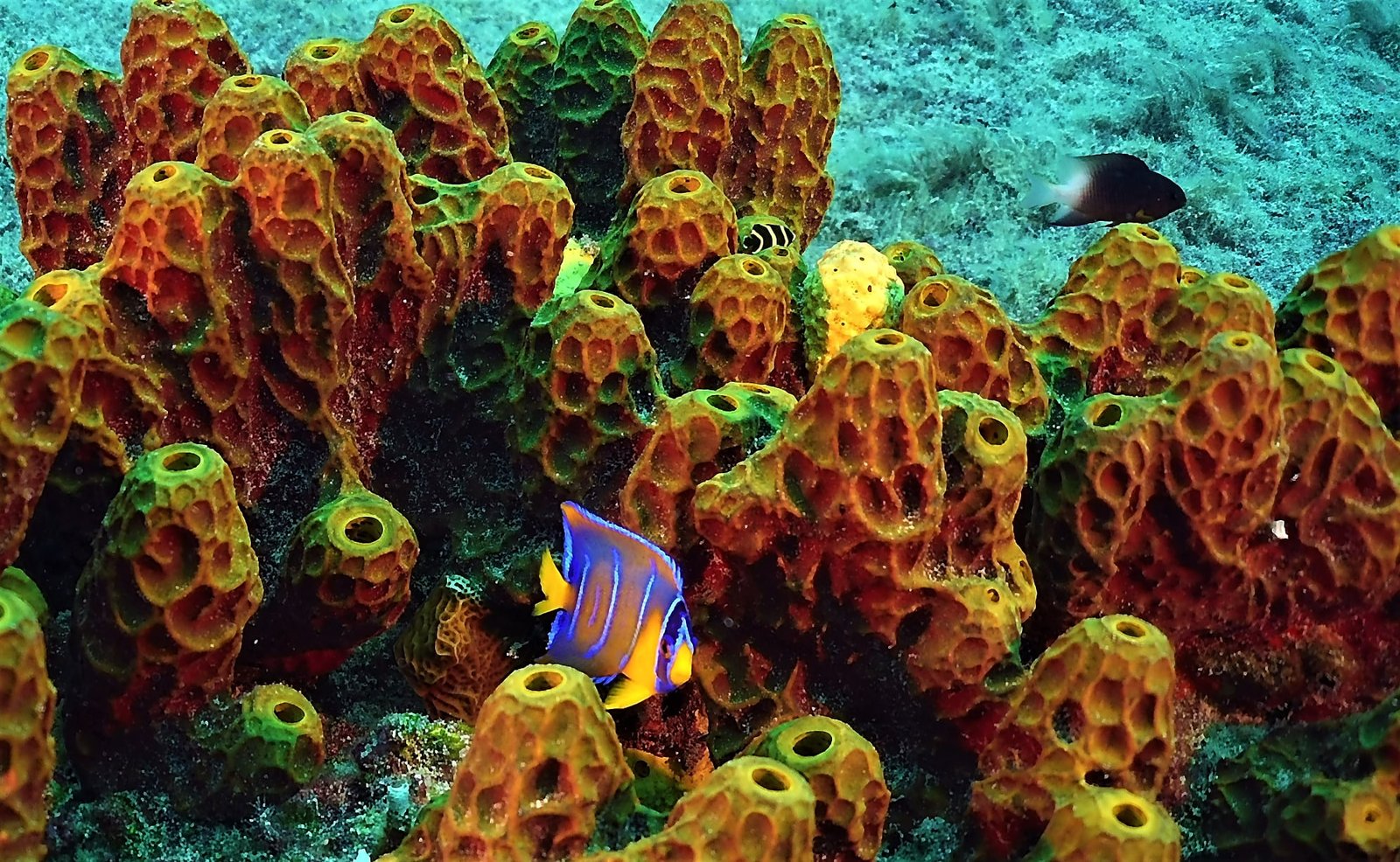 120703564 3478027418921965 5023060959668334611 n