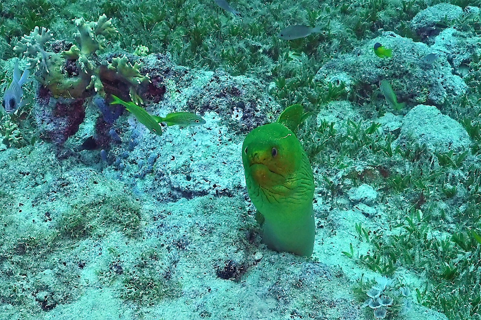 120744029 3478029072255133 2957447668208380830 n