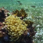 475805021 9296180537106595 2479593280446184938 n