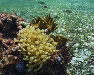 475805021 9296180537106595 2479593280446184938 n