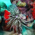 48248996 2081438988580822 3588550608665182208 n