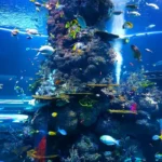 shoal of fish underwater 2446439